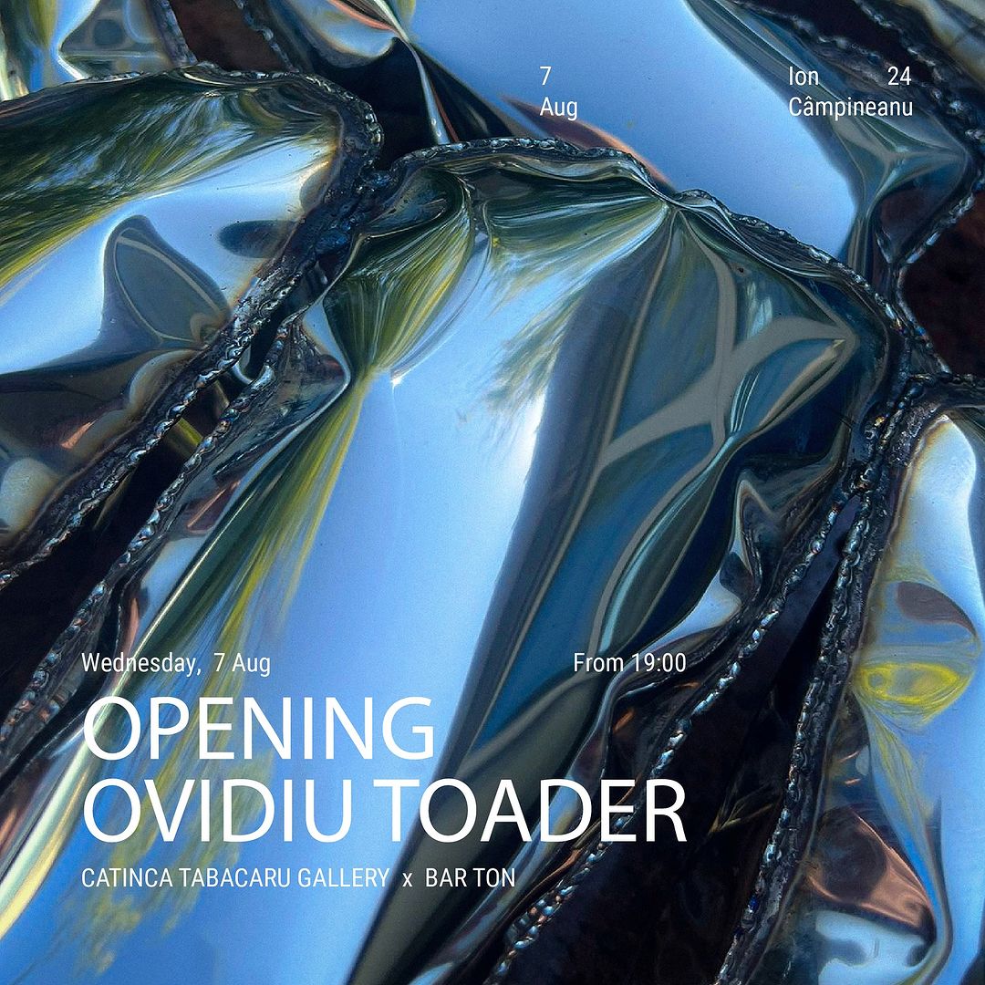 Opening Ovidiu Toader